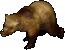 A grizzly bear.png