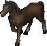 A horse.png