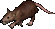 A giant rat.png