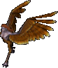 A harpy.png
