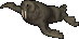 A walrus.png