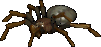 A giant spider.png