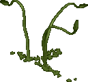 A swamp tentacle.png