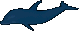 A dolphin.png