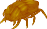A fire beetle.png