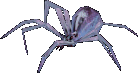 A frost spider.png