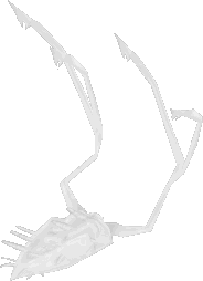 A leviathan.png