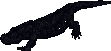 Thrasher.png