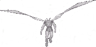Bacchus
