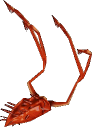 A kraken.png