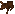 A jack rabbit.png