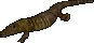 An alligator.png