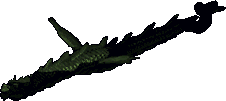 A deep sea serpent.png