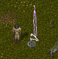 Thumbnail for version as of 23:49, 26 May 2021