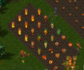 Thumbnail for version as of 15:51, 27 September 2025