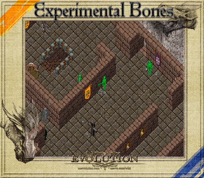File:POK Bones.png