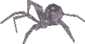 Thumbnail for version as of 00:39, 1 April 2024