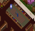 Thumbnail for version as of 15:42, 23 May 2021