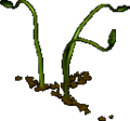 Thumbnail for version as of 16:38, 30 March 2024