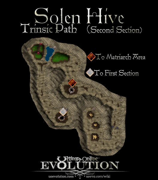 File:SolenHive Trinsic2.png
