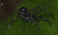 Thumbnail for version as of 18:40, 13 April 2021