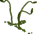 Thumbnail for version as of 00:15, 1 April 2024