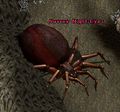 Thumbnail for version as of 19:44, 9 June 2021