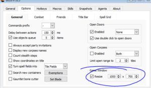 Game window size.png