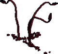 Thumbnail for version as of 00:38, 1 April 2024