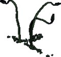 Thumbnail for version as of 00:27, 1 April 2024